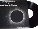 SLEDGEHAMMER / BULL THE BUFFALOS - split 