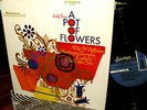 TOP 1967 Orig A POT OF FLOWERS  Garage Psych MAINSTREAM