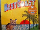 Best Coast Crazy For You RARE COLOR VINYL SEALED/MINT