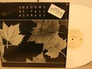 SHADOWS AS TALL AS TREES 12