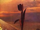 Pretty Things: Parachute LP (USA Rare Earth 1970)