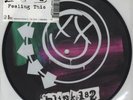 Blink 182 Feeling This 7