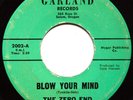 The Zero End-Blow Your Mind NW garage nuggets psych 60s