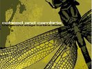 coheed and cambria - the second stage (LP) gebraucht