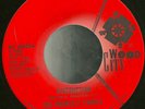 The People's Choice Destruction Rare Funk 45 HEAR MP3