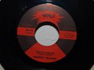 DOROTHY WILLIAMS- WATCHDOG- VOLT 118- MOD NORTHERN 45
