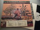 ANTHONY WHITE on TSOP rare modern soul LP promo