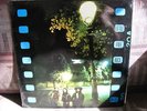 LITTLE FREE ROCK:  same  TRA Original Prog MINT UK