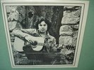 VINCENT : Wild Strawberries LP Private Press SSW Psych