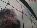 Pearl Jam Vs Vinyl 1st Press