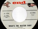 rare New Breed R&B 45 JOE SHEPARD what's the matter