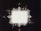 Tool Aenima (Anima) Rare New Sealed 2-LP Set + Insert
