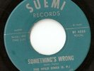 THE WILD ONES SOMETHING'S WRONG SUEMI TX GARAGE 45 hear
