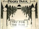PRIORY PARK try for the sun UK LP WILD DOG DOGLP16
