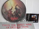 DESASTER Stormbringer Picture Disc MLP 12