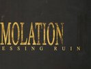 IMMOLATION  harnessing ruin         LP