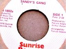 Disco 45..Sandy's Gang..Hungry..Patrick Adams..LISTEN