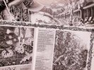 Bolt Thrower -Realm of chaos LP 1989  FOC with booklet