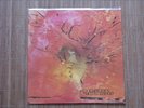 DOLDINGER’S MOTHERHOOD LP Orig Groovy Kraut POKORA 3*