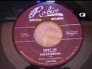 N.Y.R&B ORIG DOOWOP 45 *EVENING* RAINBOWS RED ROBIN 134