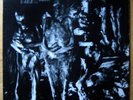 NURSE WITH WOUND INSECT AND INDIVIDUAL SILENCED LP