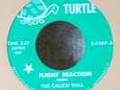 Garage Psych MONSTER-Calico Wall-Flight Reaction-Turtle