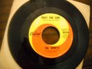 rare surf The Honeys Pray for Surf Capitol Beach Boys
