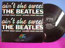 Beatles RARE LP - Ain't She Sweet on Atco 33-169