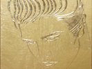 ELVIS PRESLEY A GOLDEN CELEBRATION 6 ALBUM MINT BOX SET