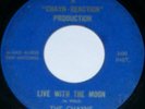 private TEXAS garage 45/THE CHAYNS/alamo audio/1966/?