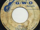 51/GRANVILLE WILLIAMS/POPEYE SKA/HUSH PUPPY/GWO