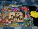 FLAT EARTH SOCIETY ORIGINAL LP AND TRUE AUCTION
