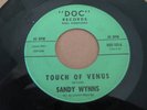 Northern Soul 45 Sandy Wynns RARE  DOC Lbl