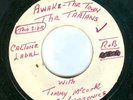 THE TARTANS' AWAKE  THE TOWN / THE EMOTIONS SIDE B HEAR