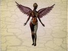 NIRVANA In Utero LP-Cllear vinyl in shrink grunge punk