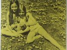 DANDELIONS 1971 Sealed Private Folk Girl Pop Duo LP