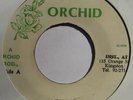 Hombres Africa RARE JA ORCHID 45 UPSETTER BLACK ARK