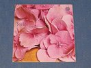 STILL LIFE same RARE UK PROG LP ORIG VERTIGO SWIRL 1970