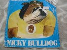 NICKY BULLDOG