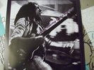 BOB MARLEY & THE WAILERS : réédit. live chicago 100675