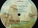 PROMO* Bumblebee Unlimited - Lady Bug *COSMIC DISCO* 78