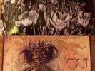 Dinosaur Jr - Bug & Dinosaur LP (no Jr)  Vinyl