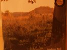 ANDREW BIRD - NOBLE BEAST =SALE= NEW 2LP GrooveGR