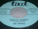 Rare TX Garage 45: The Exotics on Tad Queen Of Shadows
