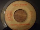 THE FULLER BROTHERS - TIMES A WASTING
