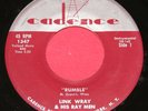 LINK WRAY & THE WRAYMEN 