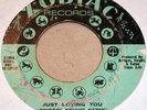 Ruby Andrews JUST LOVING YOU Northern Classic(Original)