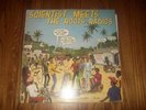 SCIENTIST MEETS THE ROOTS RADICS REGGAE LP