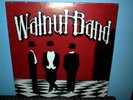 WALNUT BAND  Go Nuts  LP  sealed  orig  private press