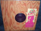 Syd Barrett Pink Floyd Dark Globe LP record demo album